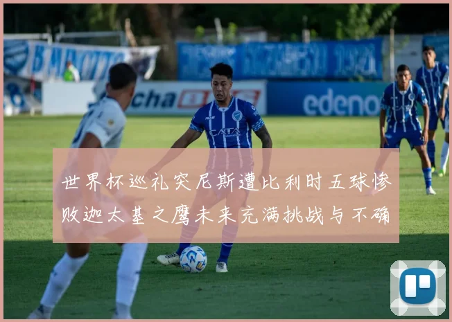 世界杯巡礼突尼斯遭比利时五球惨败迦太基之鹰未来充满挑战与不确定性