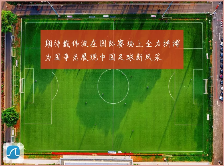期待戴伟浚在国际赛场上全力拼搏为国争光展现中国足球新风采