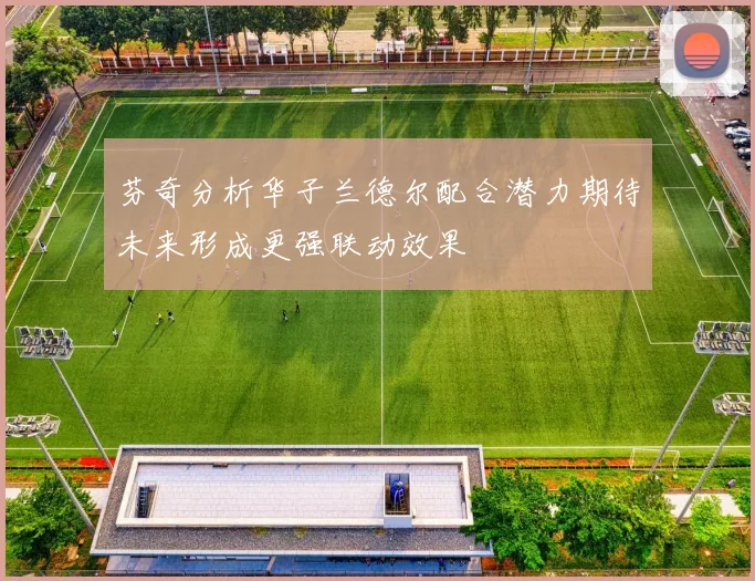 芬奇分析华子兰德尔配合潜力期待未来形成更强联动效果